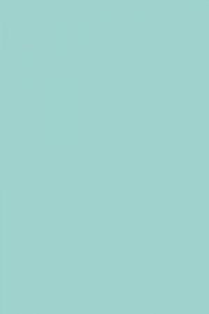 FARROW AND BALL BLUE GROUND NO. 210 PAINT